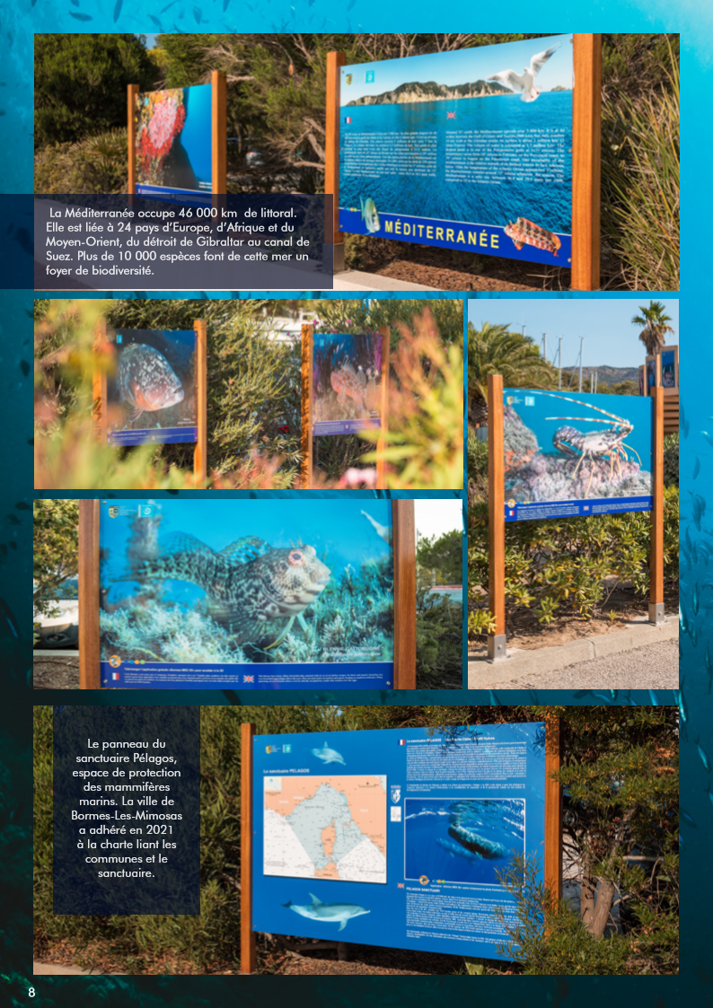 pigments secrets mediterranee expo photo