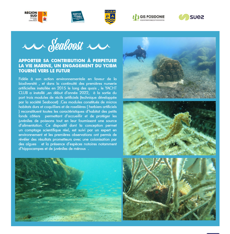 seaboost port de bormes environnement