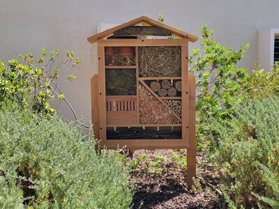 Htel  insectes